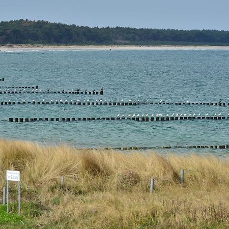 Ferienwohnung Traumstrand Glowe Exteriör bild