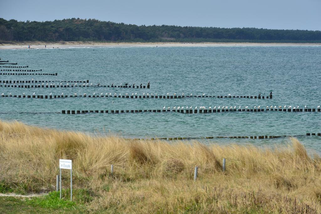 Ferienwohnung Traumstrand Glowe Exteriör bild